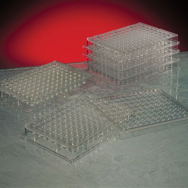 Microtiter sterili fondo piatto 406 µl, pz. 50-0