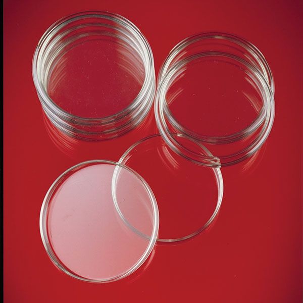 Piastre di Petri-Anumbra in vetro, Ø 150 -0