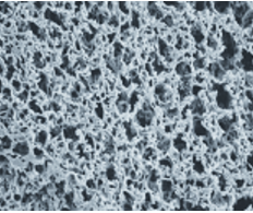 Membrane in nylon-0