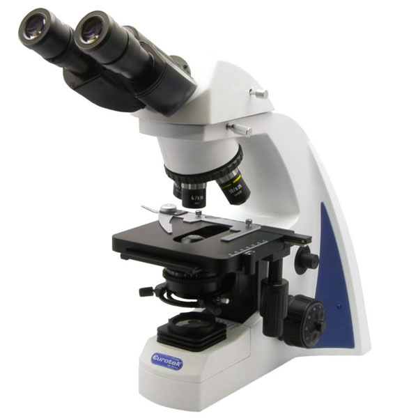 Microscopi biologici Bioline Modello N300BL Binoculare 30°-0