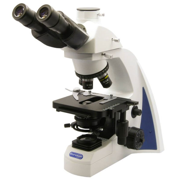 Microscopi biologici Bioline Modello N300TL Trinoculare 30°-0
