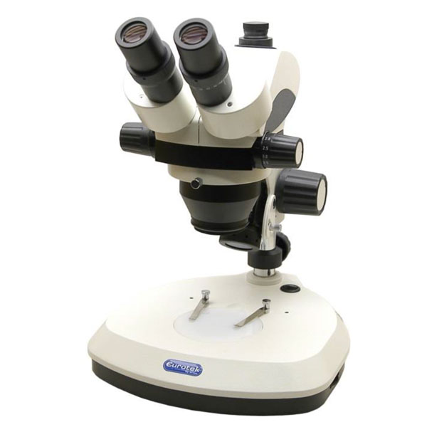 Stereomicroscopi serie Stereoline modello OXTL101TL Trinoculare 45°-0
