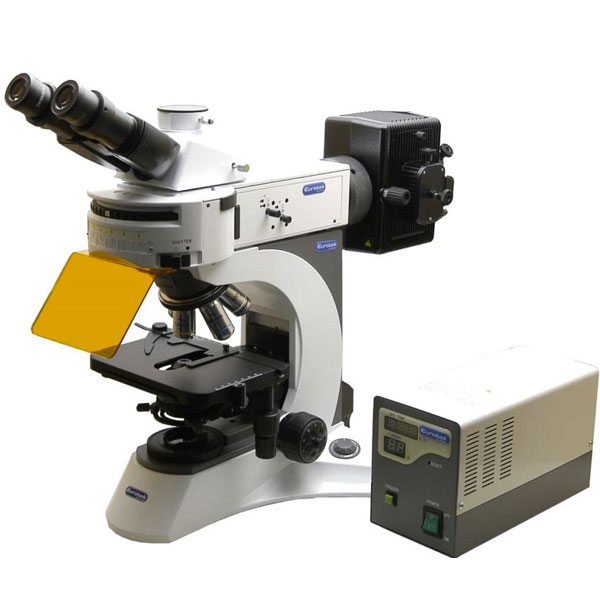 Microscopi biologici a fluorescenza N800TFL-0